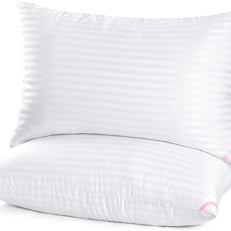 EIUE Hotel Collection Bed Pillows for Sleeping 2 Pack Queen Size，Pillows for Side and Back Sleepers,Super Soft Down Alternative Microfiber Filled Pillows,20 x 30 Inches
