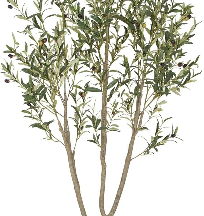 Olive Trees Artificial Indoor, 6FT Tall Faux Olive Tree with White Tall Planter, Artificial Plants with Natural Wood Trunk and Lifelike Fruits for Home Office Decor