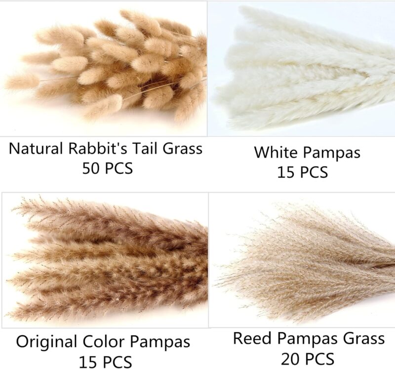 Dried Pampas Grass Decor, 100 Stems Pampas Grass Contains Bunny Tails Dried Flowers, Reed Grass Bouquet for Wedding Boho Flowers Home Table Decor, Rustic Farmhouse Party (17", White and Brown) - Image 4