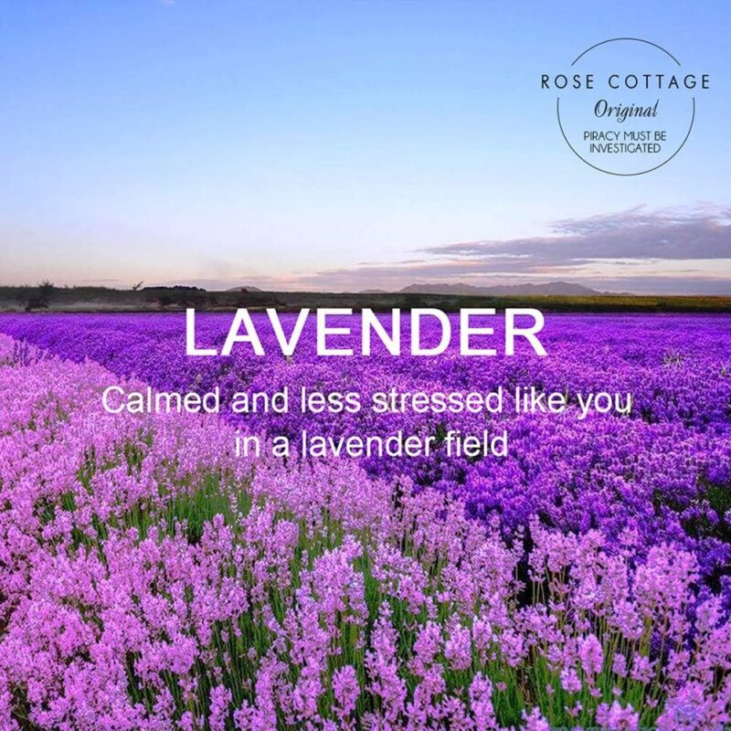 Large 12 Packs Lavender Hanging Closet Deodorizer Air Freshener Long Lasting Scented Sachets Smell Goods for House - Image 5