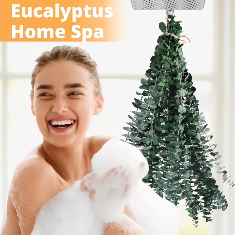 12 Pcs Dried Eucalyptus for Shower Hanging - 17'' Real Large Preserved Eucalyptus Stems Green Home Decor, 100% Made from Fresh Eucalyptus Leaves, Bathroom Shower Decor, Wedding, DIY - Image 3