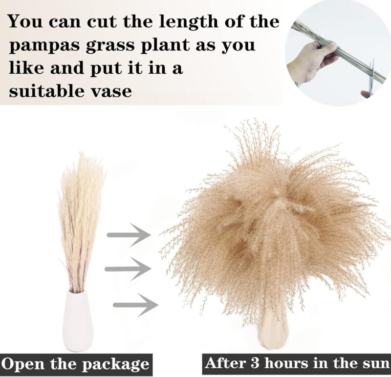 Dried Pampas Grass Decor, 100 Stems Pampas Grass Contains Bunny Tails Dried Flowers, Reed Grass Bouquet for Wedding Boho Flowers Home Table Decor, Rustic Farmhouse Party (17", White and Brown) - Image 5
