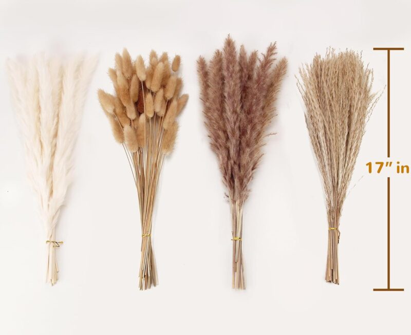 Dried Pampas Grass Decor, 100 Stems Pampas Grass Contains Bunny Tails Dried Flowers, Reed Grass Bouquet for Wedding Boho Flowers Home Table Decor, Rustic Farmhouse Party (17", White and Brown) - Image 2