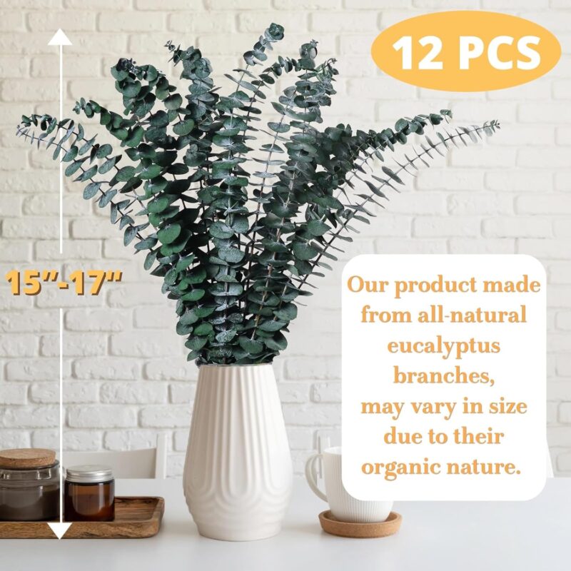 12 Pcs Dried Eucalyptus for Shower Hanging - 17'' Real Large Preserved Eucalyptus Stems Green Home Decor, 100% Made from Fresh Eucalyptus Leaves, Bathroom Shower Decor, Wedding, DIY - Image 2
