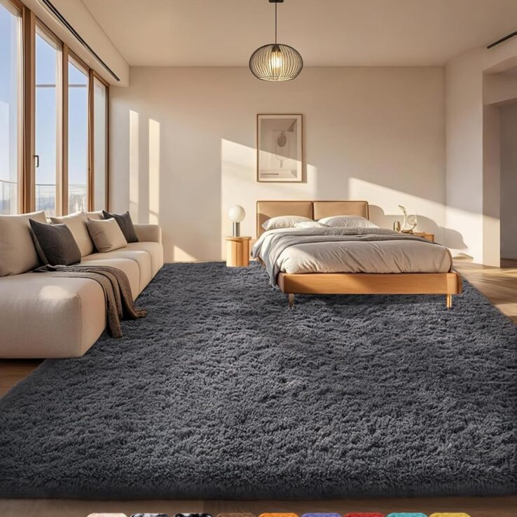 Ophanie Area Rugs for Bedroom Living Room, Grey Fluffy Fuzzy Shag Shaggy Soft Plush Carpet, 4x6 Indoor Floor Gray Rug for Kids Home Dorm Decor Aesthetic