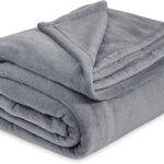 Bedsure Fleece Bed Blankets Queen Size Grey - Soft Lightweight Plush Fuzzy Cozy Luxury Blanket Microfiber, 90x90 inches