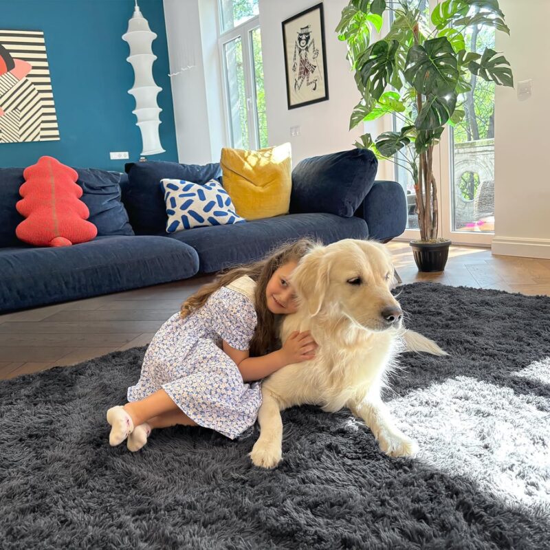 OLANLY Area Rugs for Living Room Bedroom, Machine Washable 4x5.9 Feet Soft Fluffy Shaggy Bedside Rug, Indoor Floor Carpet for Kids Girls and Boys, Dorms, Nursery Rooms, Home Decor Aesthetic, Grey - Image 5