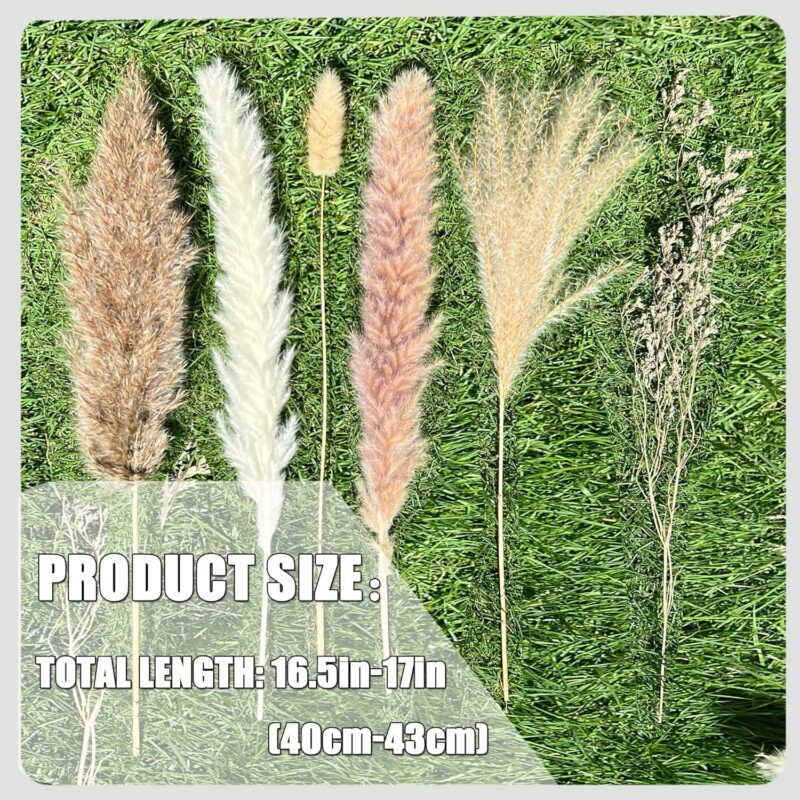 100Pcs Pampas Grass Boho Home Decor 17 inch Natural Dried Flowers-Pampas Grass Contains Bunny Tails White Pampas Brown Pampas.Boho Decor for Farmhouse Wedding Boho Wall Bathroom Office Kitchen… - Image 4