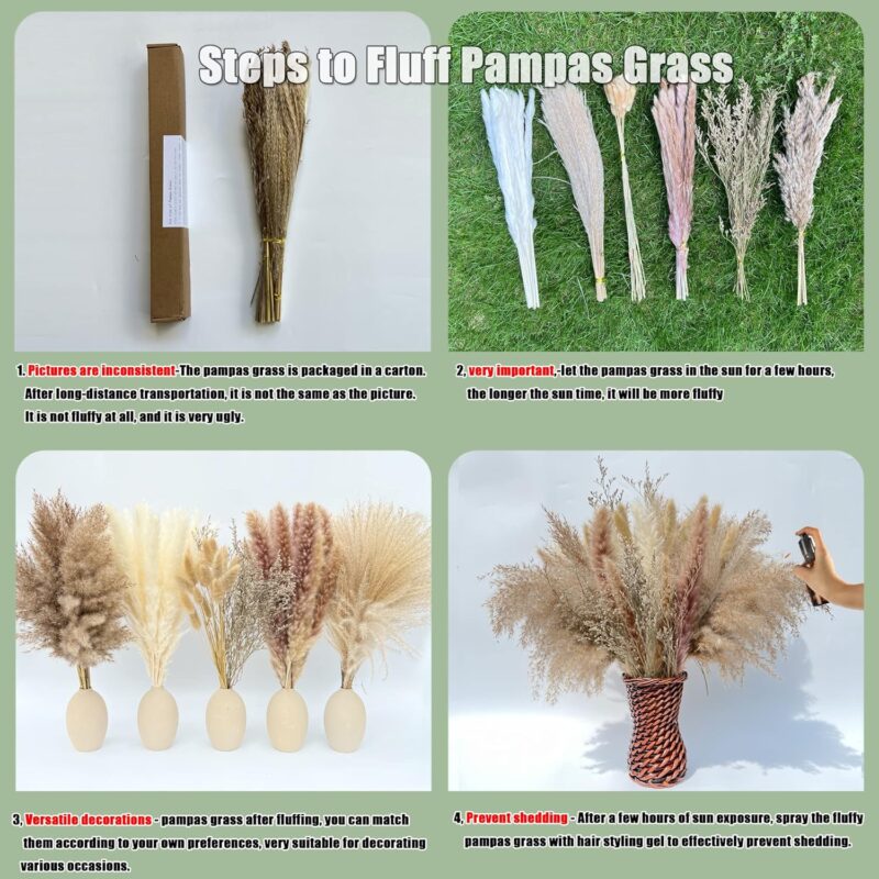 100Pcs Pampas Grass Boho Home Decor 17 inch Natural Dried Flowers-Pampas Grass Contains Bunny Tails White Pampas Brown Pampas.Boho Decor for Farmhouse Wedding Boho Wall Bathroom Office Kitchen… - Image 2