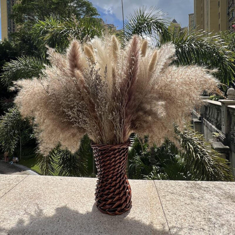 100Pcs Pampas Grass Boho Home Decor 17 inch Natural Dried Flowers-Pampas Grass Contains Bunny Tails White Pampas Brown Pampas.Boho Decor for Farmhouse Wedding Boho Wall Bathroom Office Kitchen… - Image 7